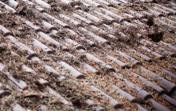 Silverton roof cleaning companies