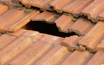roof repair Silverton