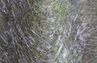 Silverton fibreglass roof work